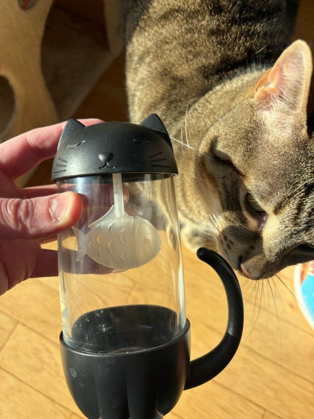 Cat mug with fish for loose leaf tea or matcha